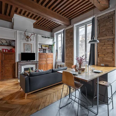 Mdor - Mountain Shelter - Appt En Centre-ville * Lyon